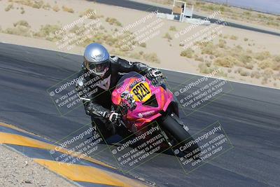 media/Apr-09-2023-SoCal Trackdays (Sun) [[333f347954]]/Turn 12 Inside (930am)/